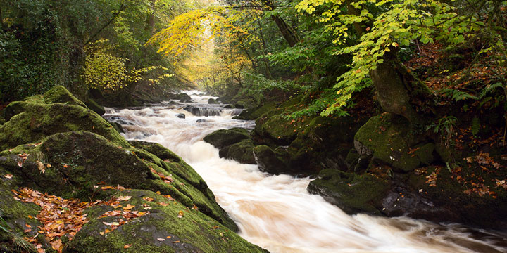 River Erme glamping